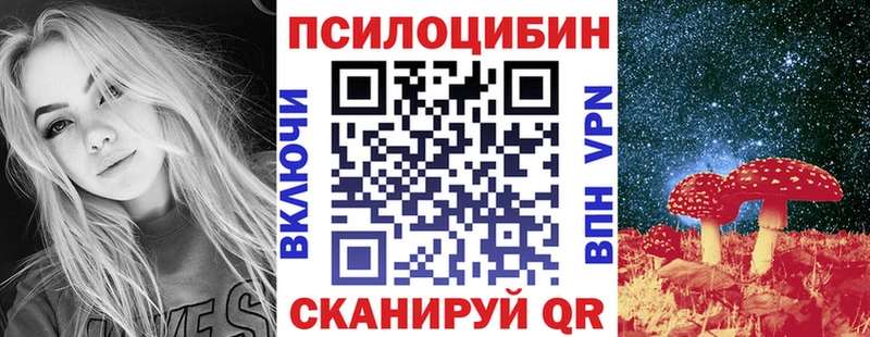 kraken ссылки  Лесной  Галлюциногенные грибы Cubensis  продажа наркотиков 