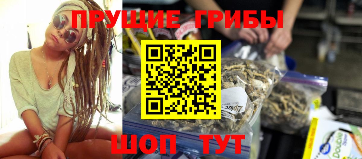 Псилоцибиновые грибы прущие грибы Лесной